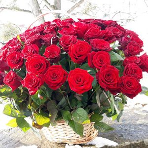 101 красная роза в корзине Полтава фото