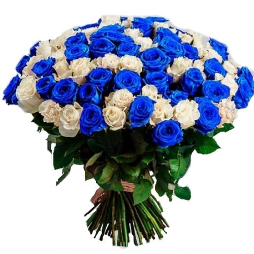 101 белая и синяя роза фото букета