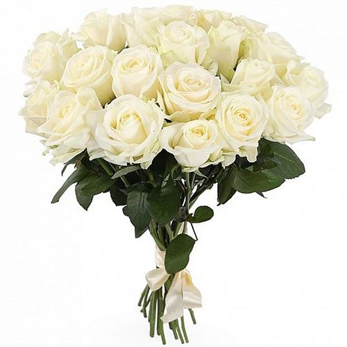 букет 21 белая роза