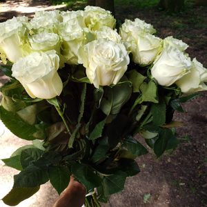 21 белая роза в Полтаве фото