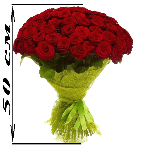 Фото товара 101 красная роза (50см)
