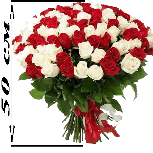 Фото товара 101 троянда мікс червона і біла (50 см)