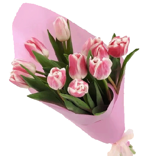 Фото товара 11 розовых тюльпанов