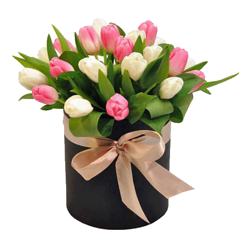 Фото товара 25 тюльпанов в шляпной коробке