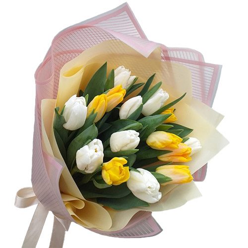 Фото товара 15 бело-жёлтых тюльпанов