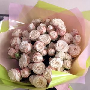букет пионовидных роз Бомбастик фото