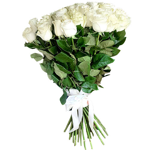 Фото товара 33 білі троянди