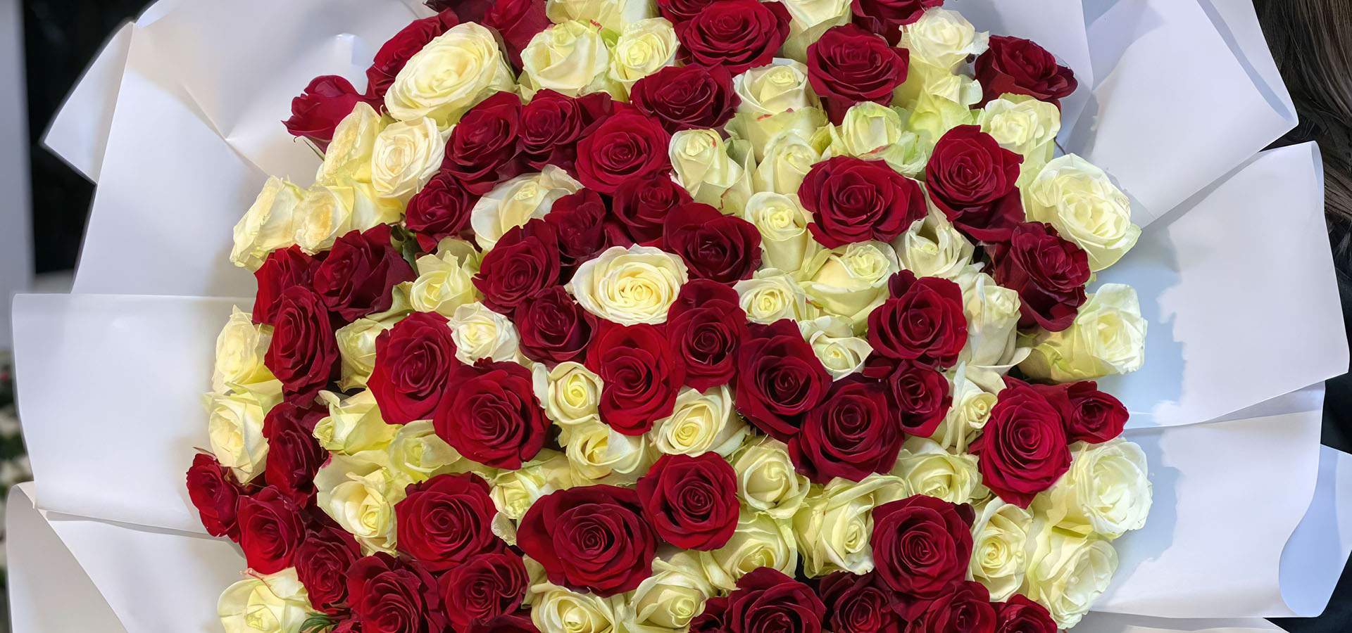 великий букет червоно-білих троянд фото